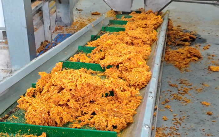 廢渣變“金料”！晟啟方案賦能食品企業，打造產業盈利新路徑